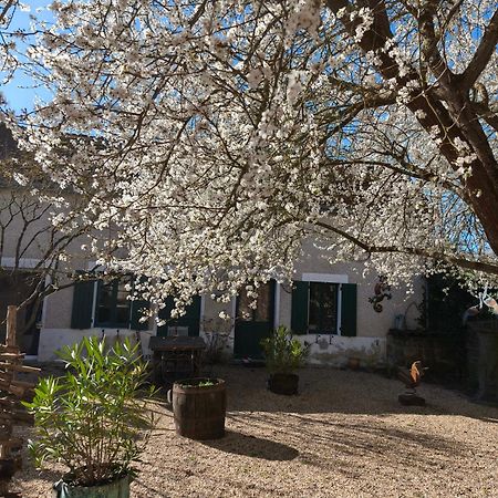 Saint-Romain-sur-Cher Le Cottage Des Sablons Pres Du Zoo De Beauval מראה חיצוני תמונה