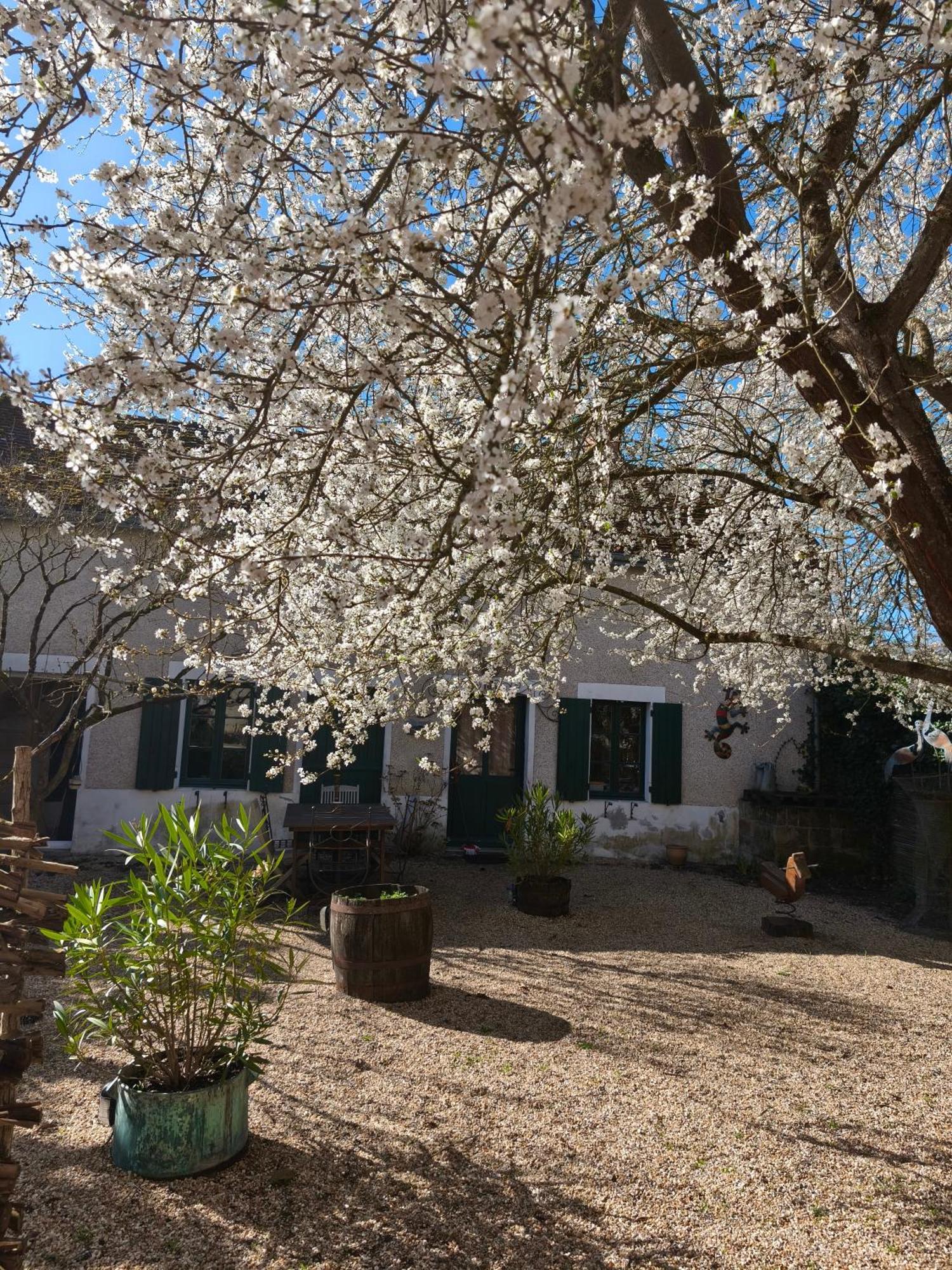 Saint-Romain-sur-Cher Le Cottage Des Sablons Pres Du Zoo De Beauval מראה חיצוני תמונה